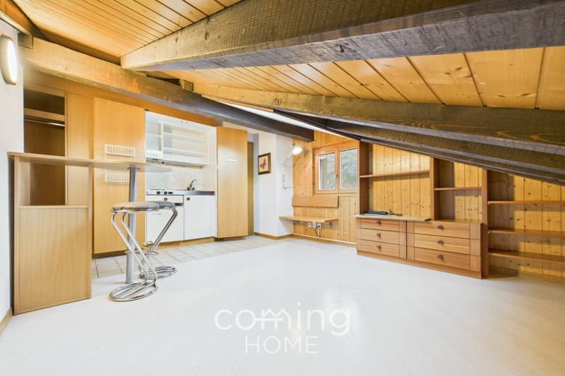 Studio in Turtmann - kompakt, mit Bahnanschluss und zentraler Lage (3)
