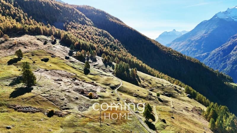 Building lot in Gspon - Life on the sunny high plateau (10)
