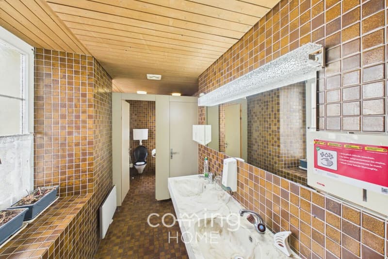 Gasthof zum Löwen in Wynau - Investment property featuring a restaurant, 13 rooms, and a long-standing tradition (15)