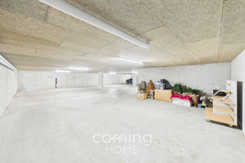 Commercial space in Niederbipp - 455 m² for IT, classic cars, storage, or other commercial use (8)