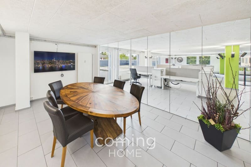 Herzogenbuchsee - Immeuble de prestige de 230 m², entièrement meublé et disponible immédiatement (3)