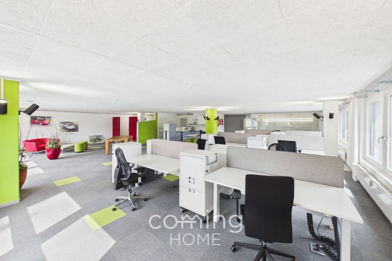 Herzogenbuchsee - Immeuble de prestige de 230 m², entièrement meublé et disponible immédiatement (10)