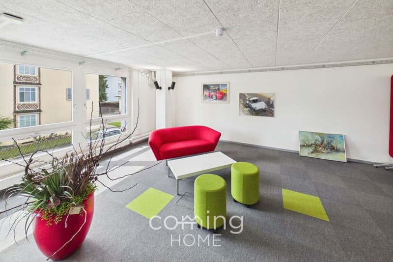 Herzogenbuchsee - Immeuble de prestige de 230 m², entièrement meublé et disponible immédiatement (11)