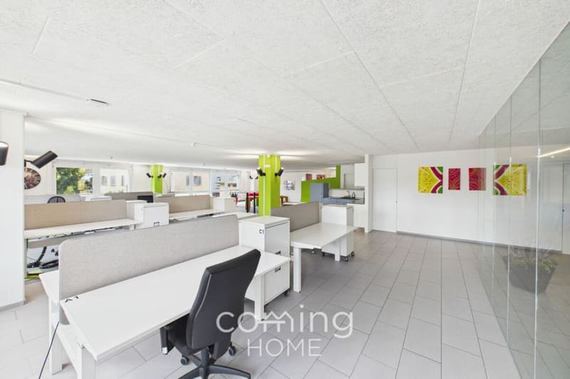 Herzogenbuchsee - Immeuble de prestige de 230 m², entièrement meublé et disponible immédiatement (1)