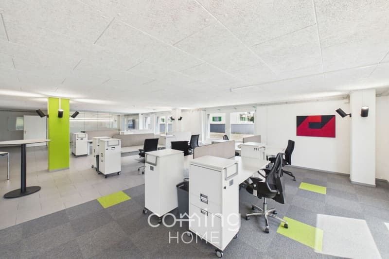 Herzogenbuchsee - Immeuble de prestige de 230 m², entièrement meublé et disponible immédiatement (6)