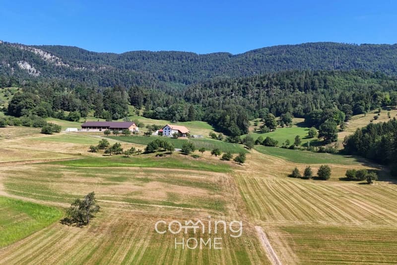 Attractive Building Plot in Aedermannsdorf in a Quiet and Sunny Location (4)