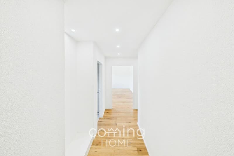 Renovated 4-Room Penthouse Apartment in Wöschnau with Large Terrace and Scenic Views (9)