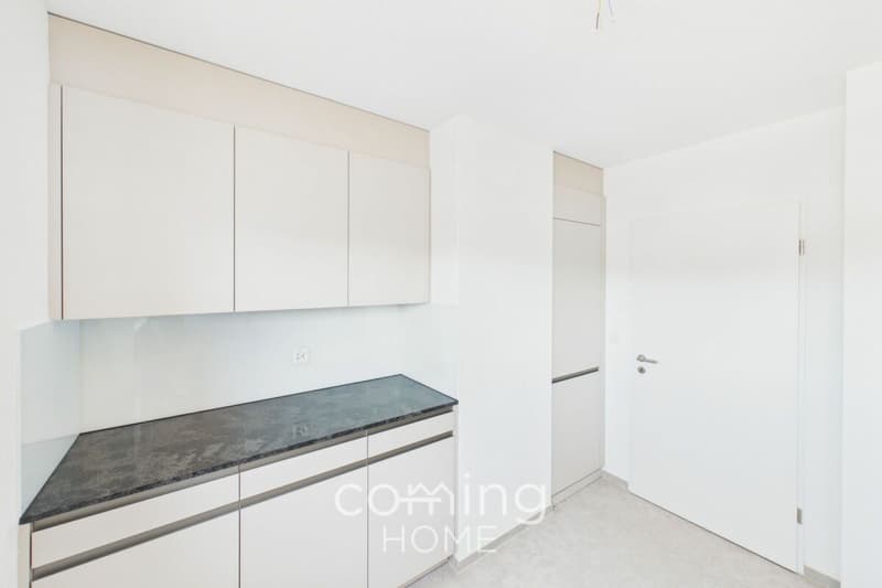 Renovated 4-Room Penthouse Apartment in Wöschnau with Large Terrace and Scenic Views (4)