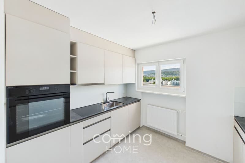 Renovated 4-Room Penthouse Apartment in Wöschnau with Large Terrace and Scenic Views (3)