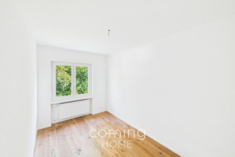 Renovated 4-Room Penthouse Apartment in Wöschnau with Large Terrace and Scenic Views (7)