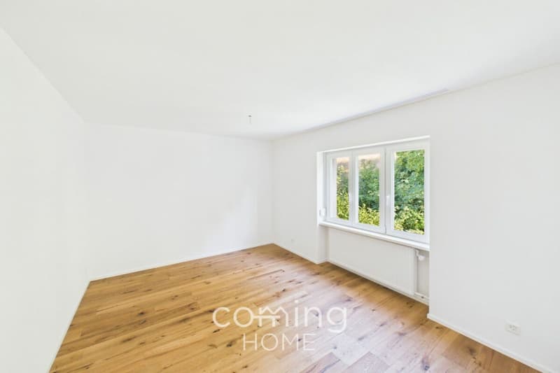 Renovated 4-Room Penthouse Apartment in Wöschnau with Large Terrace and Scenic Views (6)