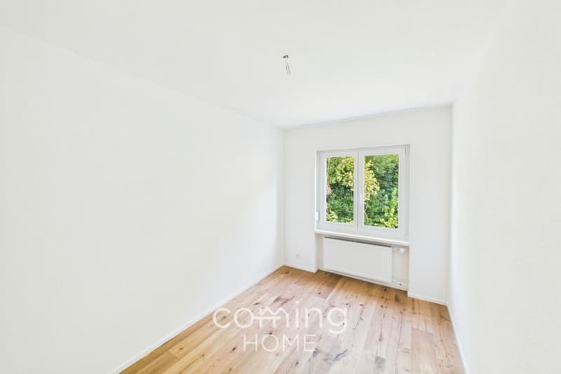 Renovated 4-Room Penthouse Apartment in Wöschnau with Large Terrace and Scenic Views (8)