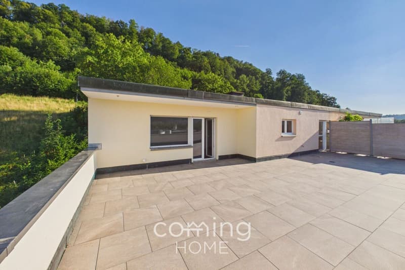 Renovated 4-Room Penthouse Apartment in Wöschnau with Large Terrace and Scenic Views (11)