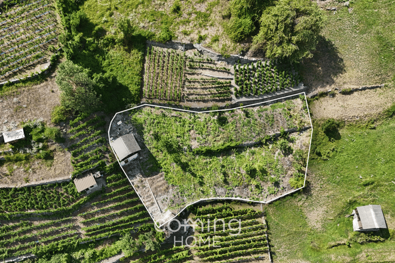Rebparzelle mit Rebhaus in Stalden - Weinbau im Vispertal (1)