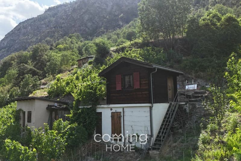 Rebparzelle mit Rebhaus in Stalden - Weinbau im Vispertal (6)