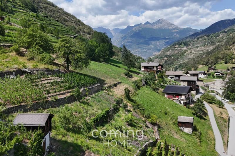 Rebparzelle mit Rebhaus in Stalden - Weinbau im Vispertal (7)