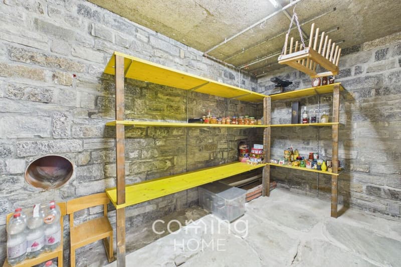 A top-class detached house, granny flat and large grounds in Stalden (26)