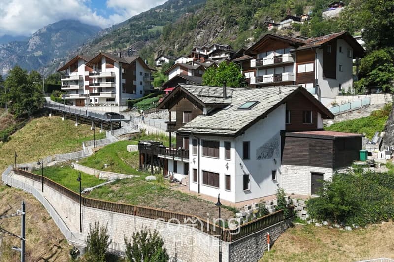 A top-class detached house, granny flat and large grounds in Stalden (30)