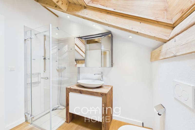 A top-class detached house, granny flat and large grounds in Stalden (15)