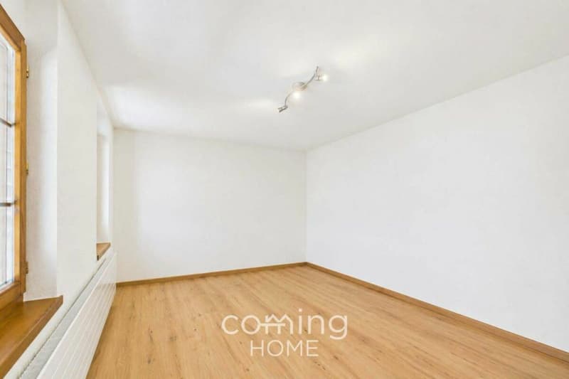 A top-class detached house, granny flat and large grounds in Stalden (14)