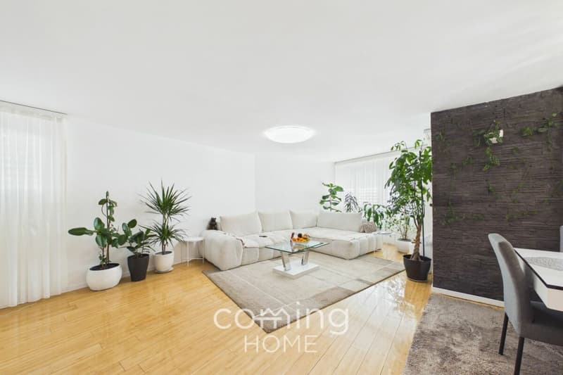 Attraktive 5.5 Zimmerwohnung in Visp an zentraler und ruhiger Lage (1)
