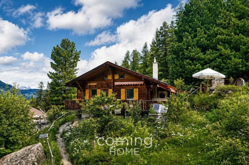 Charmantes 4-Zimmer-Chalet in Gasenried mit Panoramablick - Zweitwohnsitz möglich (13)