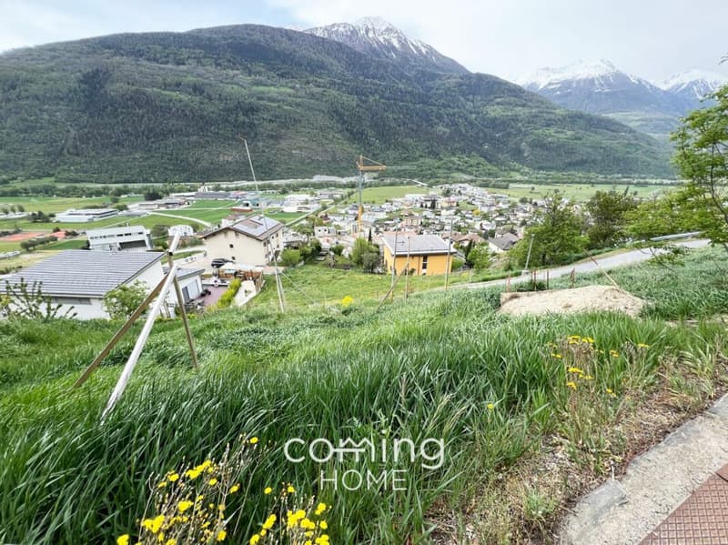 Baugrundstück in Steg ? 722 m², Baubewilligung und Tiny House Projekt inklusive (2)