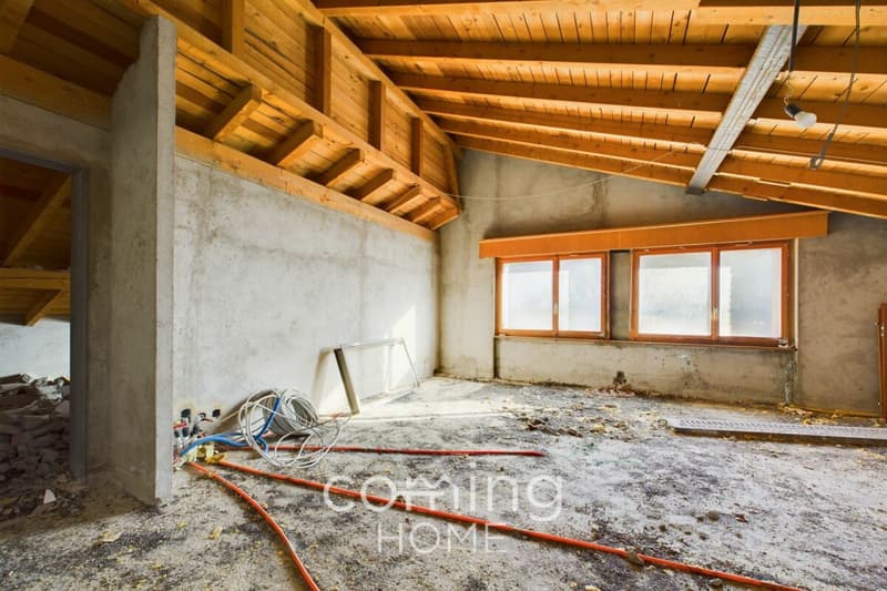 Exklusives 3-Familienhaus in sonniger Lage - Grosszügige Wohnflächen & Garagen (13)