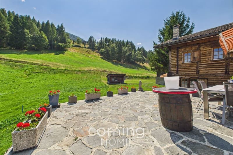 Attraktives Chalet-Paradies in Unterbäch mit grosszügigem Grundstück (1)