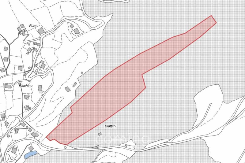 Blatten bei Naters - Grosszügiges Waldgrundstück mit Bergpanorama und Nähe zum Stausee Gebidem (2)