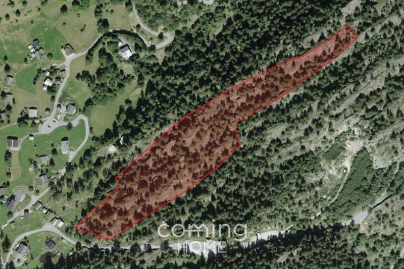 Blatten bei Naters - Grosszügiges Waldgrundstück mit Bergpanorama und Nähe zum Stausee Gebidem (1)