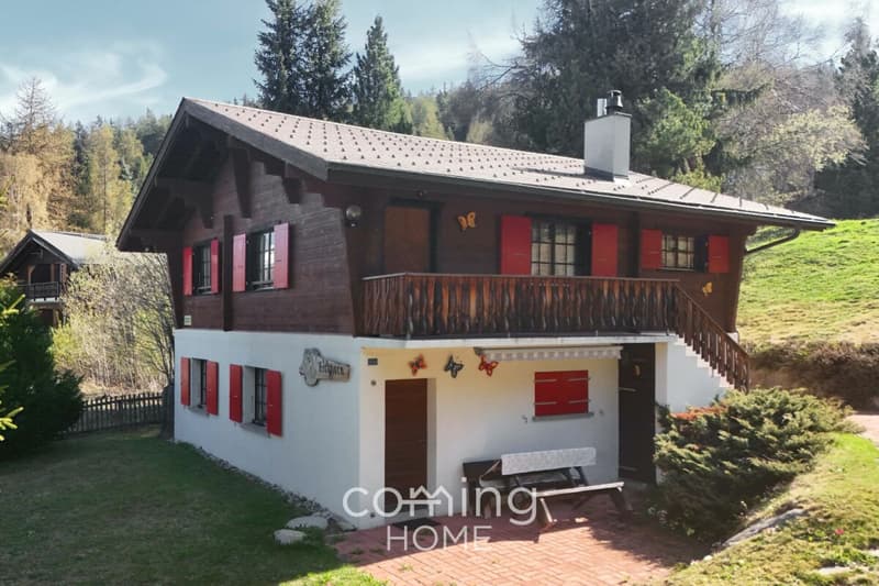 Wohnen heute, bauen morgen - Chalet mit 1'800 m² Baulandreserve in sonnigem Bürchen (3)