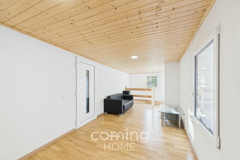 Ruhig, sonnig und mit Bergblick - neuwertige 1.5-Zimmer-Wohnung in Hohtenn (1)