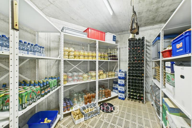 Aussergewöhnliches Einfamilienhaus in Brig Glis - architektonisch markant, sonnig gelegen und umfassend renoviert (28)