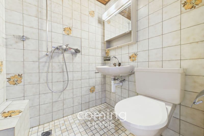 2.5 Zimmerwohnung in Ried-Brig mit Bergsicht (6)