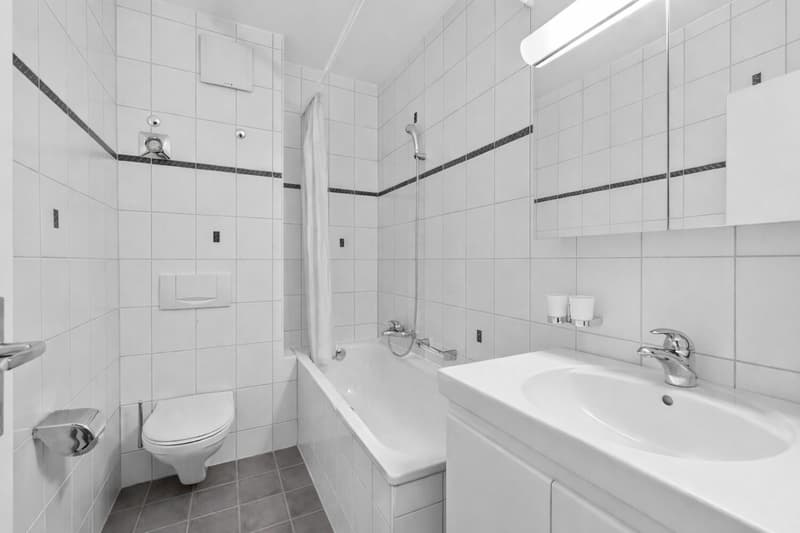 Kapitalanleger gesucht 5-Zimmerwohnung in Basel (6)