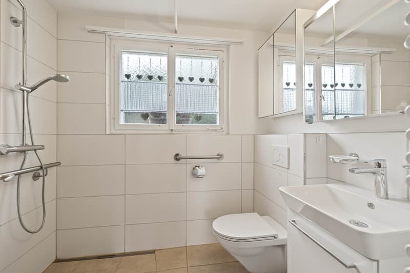 Single-family house with outbuilding on a large plot with development potential (6)