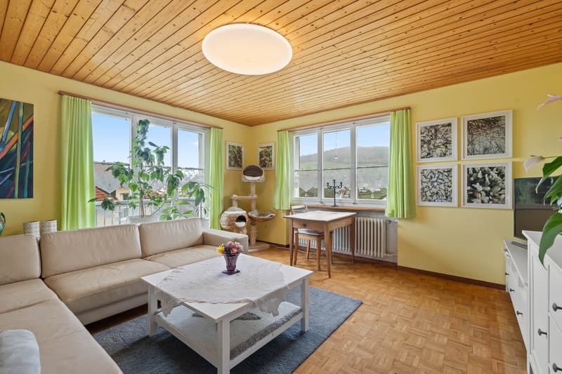 Single-family house with outbuilding on a large plot with development potential (3)