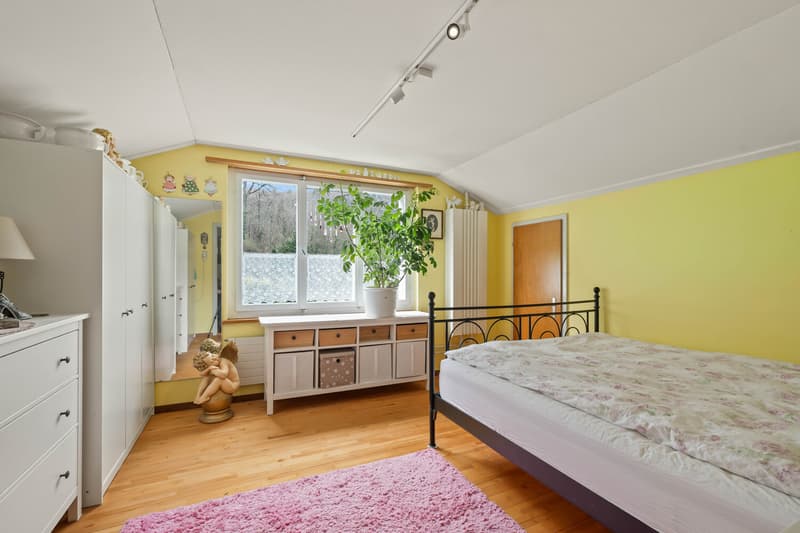 Single-family house with outbuilding on a large plot with development potential (10)