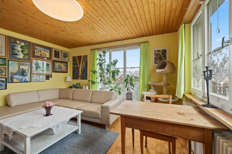 Single-family house with outbuilding on a large plot with development potential (4)