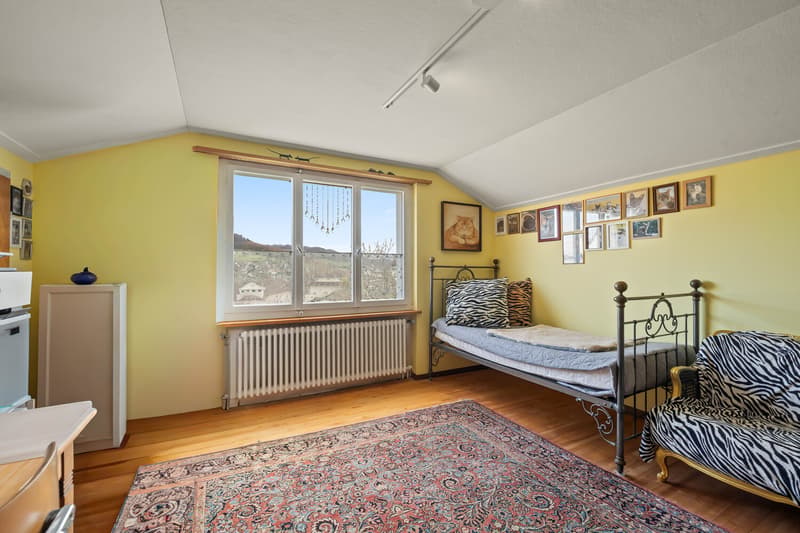 Single-family house with outbuilding on a large plot with development potential (8)
