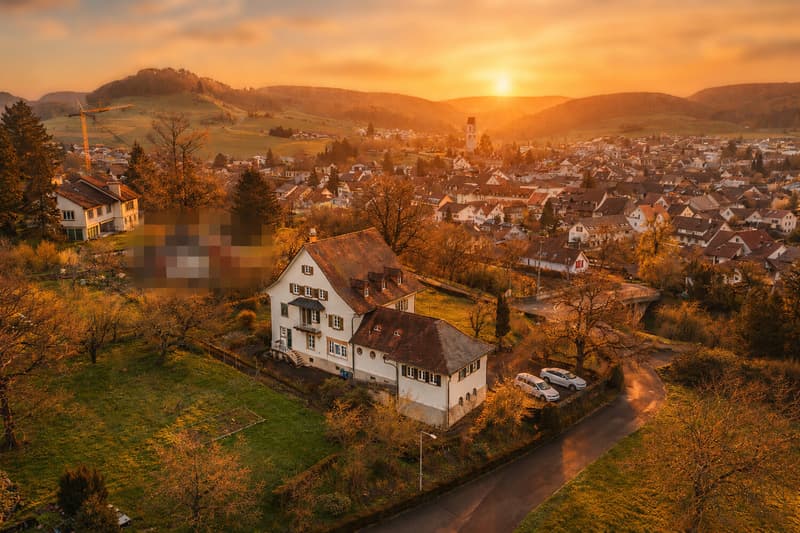 Historic villa with stately character (12)