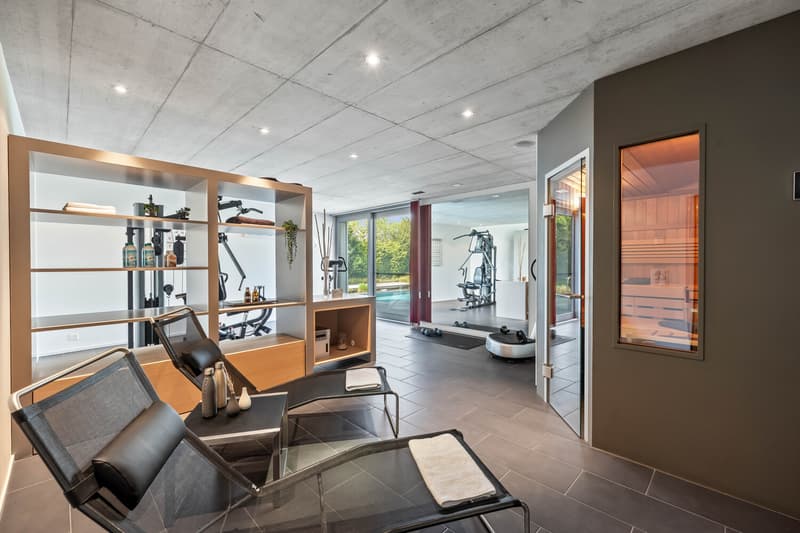 Villa with a panoramic view, pool, and wellness in Olsberg (10)