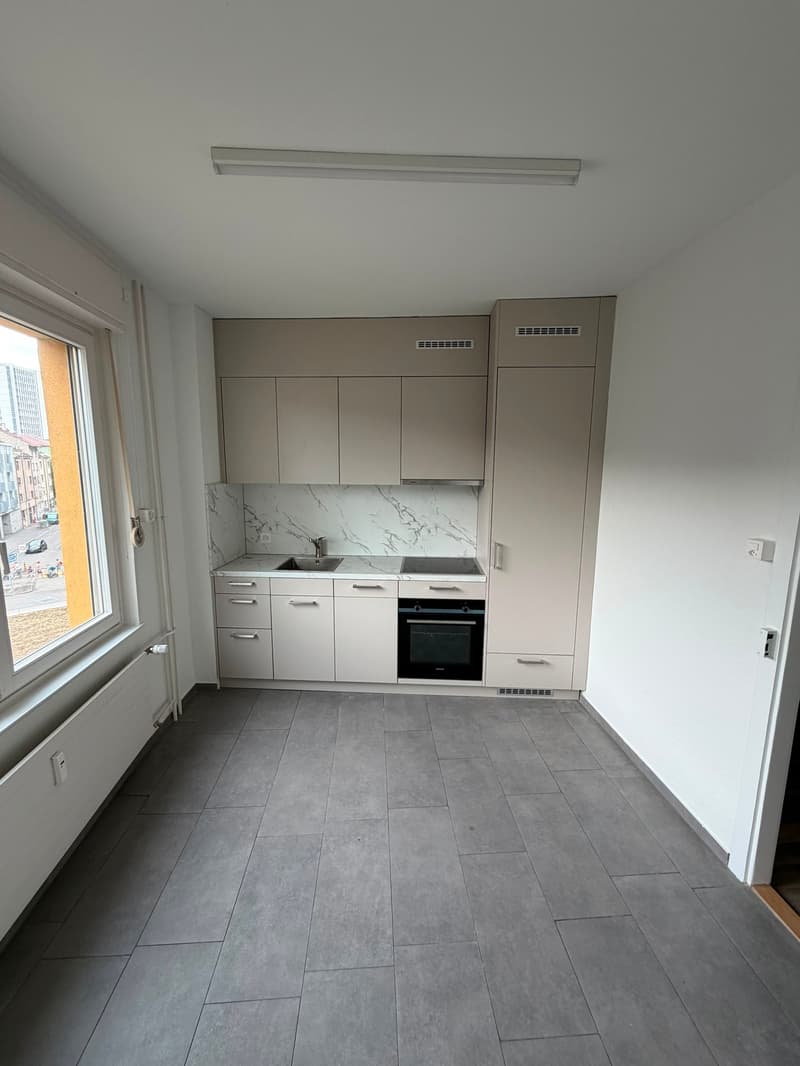Frisch sanierte 2 Zimmer Wohnung zu vermieten (1)