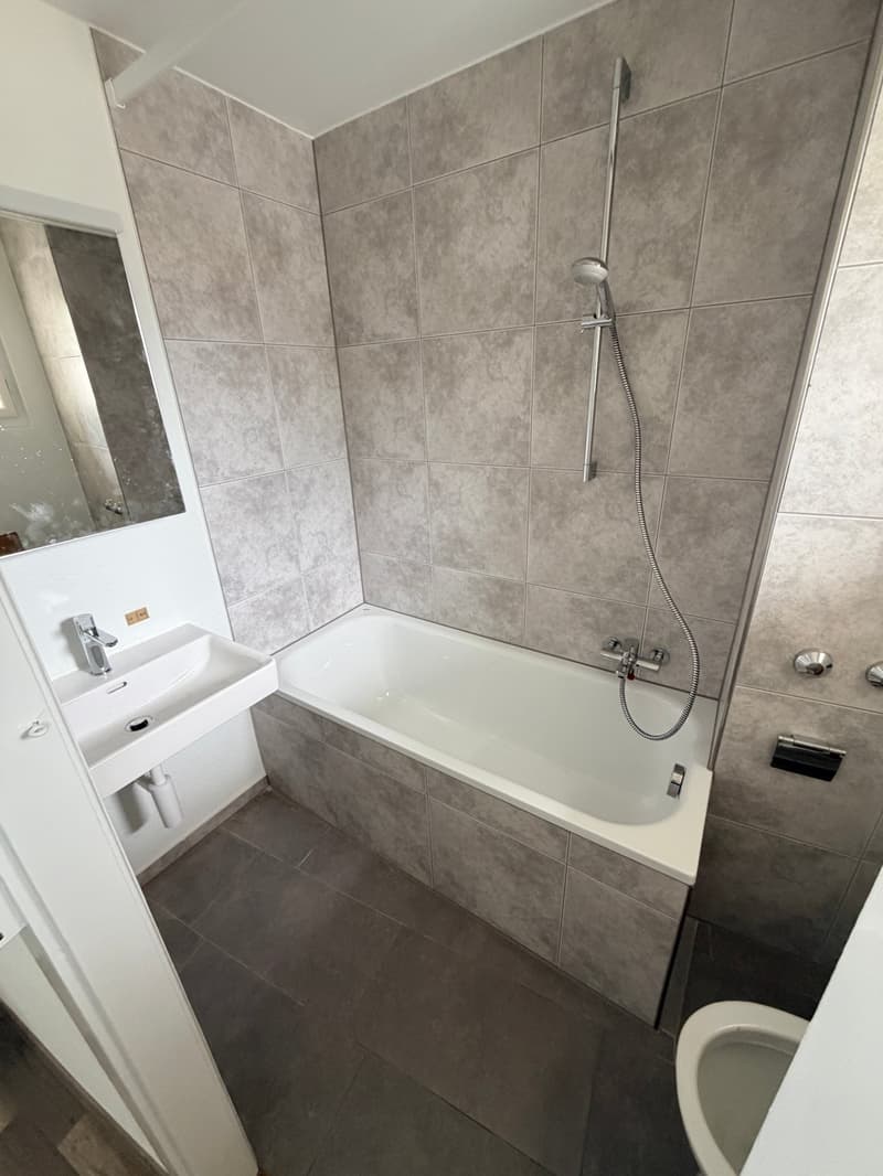 Appartement 2 pièces fraîchement rénové à louer (7)