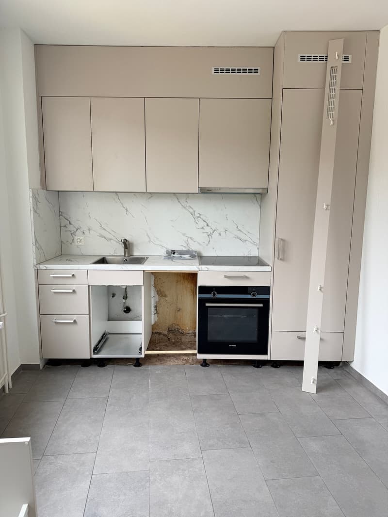 Appartement 2 pièces fraîchement rénové à louer (2)