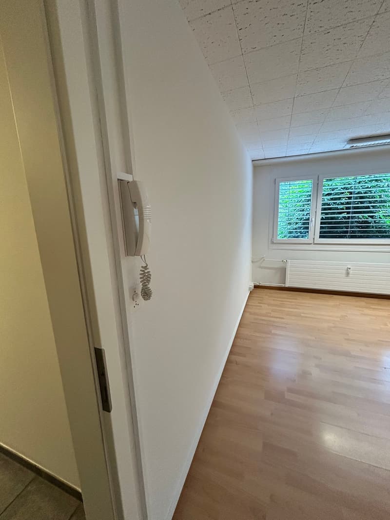 Espace de pratique / atelier en Allschwil à louer (2)