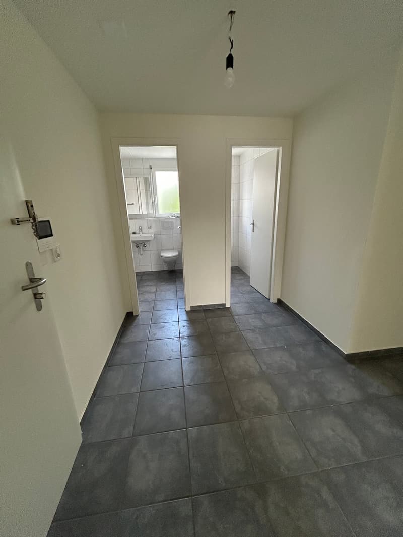 Appartamento luminoso di 4.5 locali con ampio balcone in affitto (7)
