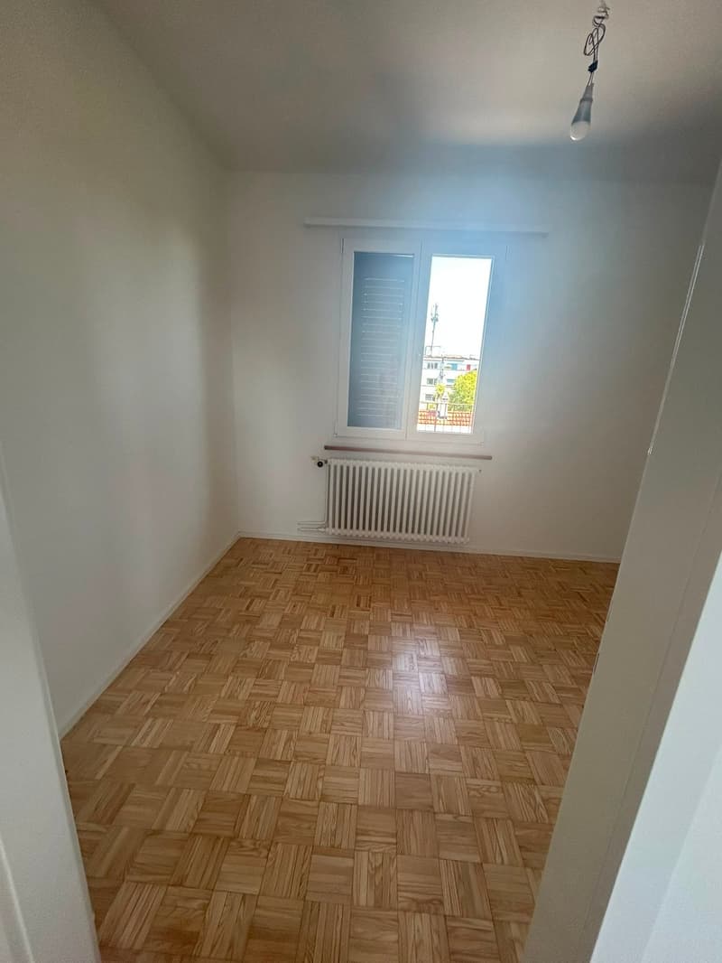 Moderne Attikawohnung mit großzügigen Terrassen in Basel (7)