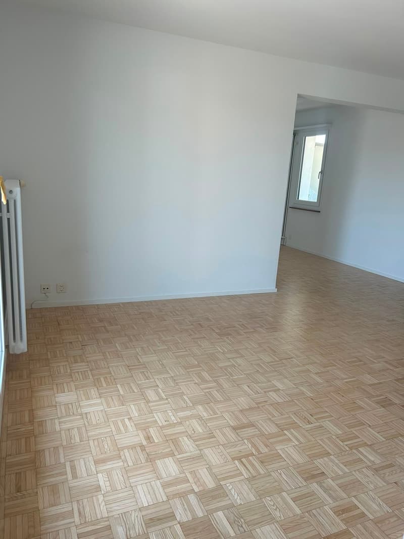 Moderne Attikawohnung mit großzügigen Terrassen in Basel (6)